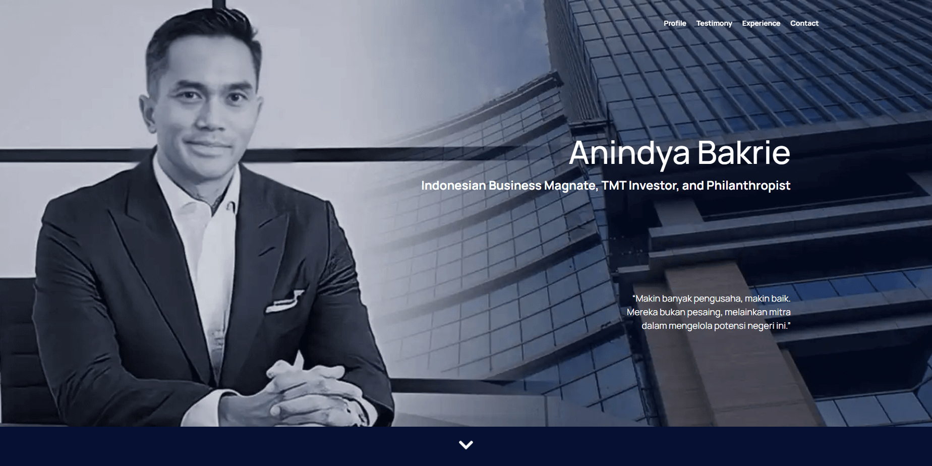 Anindya Bakrie Profile Page